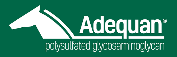 Adequan