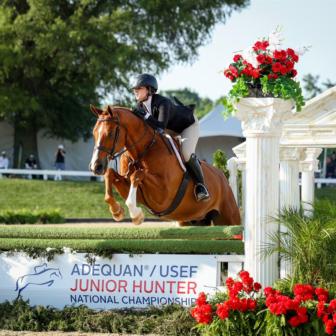 Mounted rider and pony jumping a fence at the USEF Pony Finals